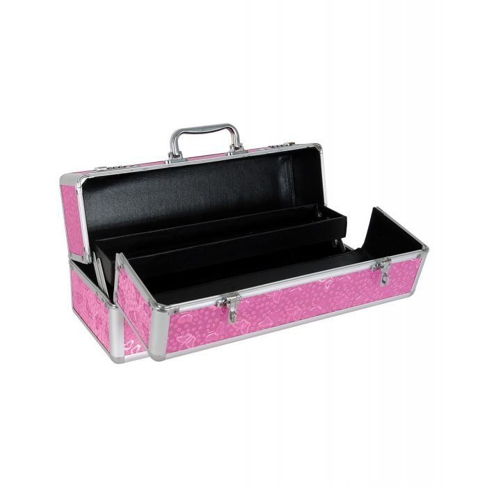 Large Locking Toy Cases