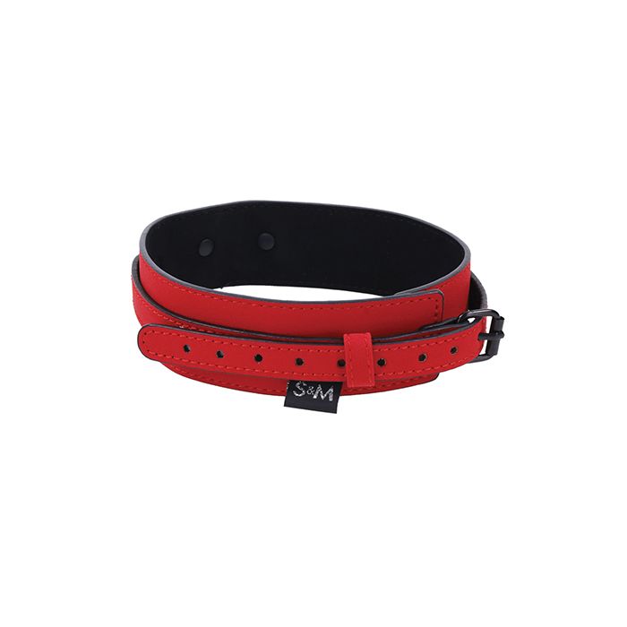 Amor Collar and Leash Set