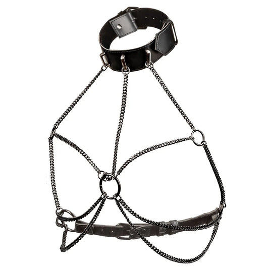 Multi Chain Harness with Collar